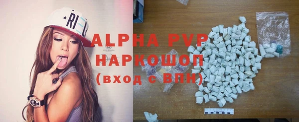 сатива Белокуриха